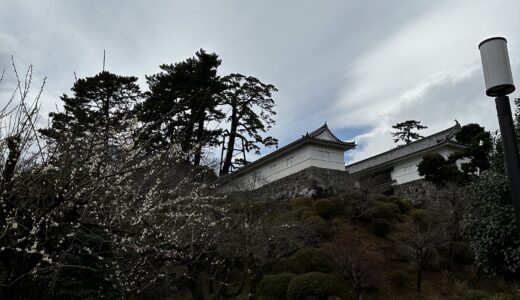 Great_Odawara Castle_小田原城の魅力を伝えます！